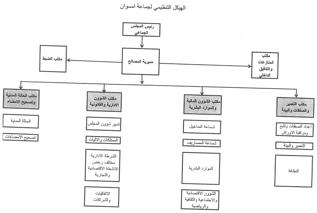 الهيكل التنظيمي